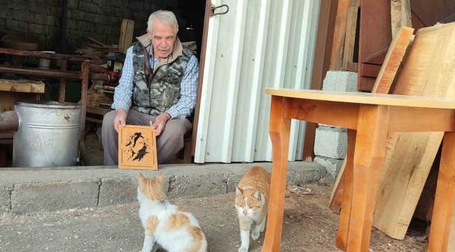 Depremden sonra sokakta kalan kedilere sahip çıktı