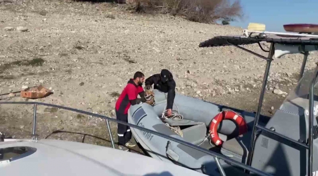 Gölde su yükseldi, mahsur kalan yavru köpekleri polis kurtardı