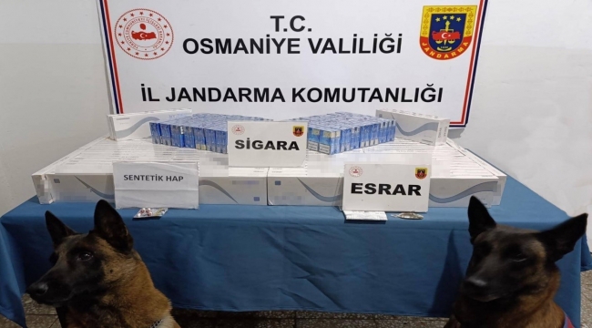 Osmaniye'de jandarma son bir haftada 107 kişi yakalandı