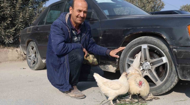 Tekere bağladığı horozuyla, tavuğunu arabasıyla birlikte satışa çıkardı