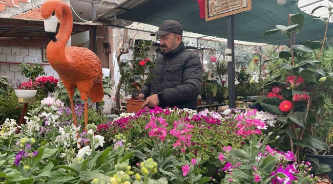 Ağabeyinden hatıra kalan çiçekçi dükkânını botanik kafeye çevirdi