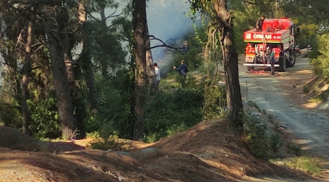 Hatay'da ormanlık alanda örtü yangını çıktı