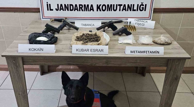 Jandarma ekipleri Şubat ayında 61 şahıs hakkında yasal işlem yaptı