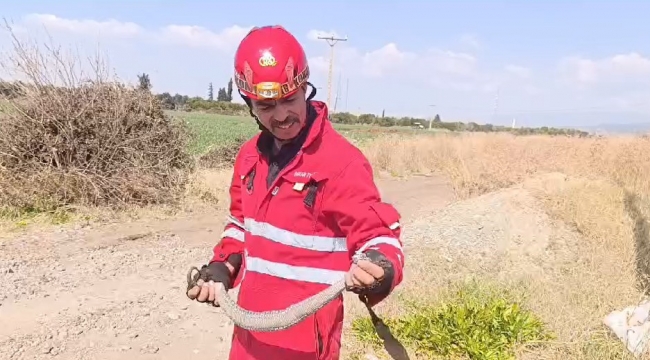 Evin bahçesine giren yılanı itfaiye yakaladı